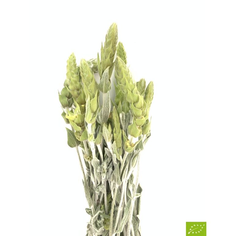 Organic Greek Mountain Tea Sideritis Scardica bunches 40gr